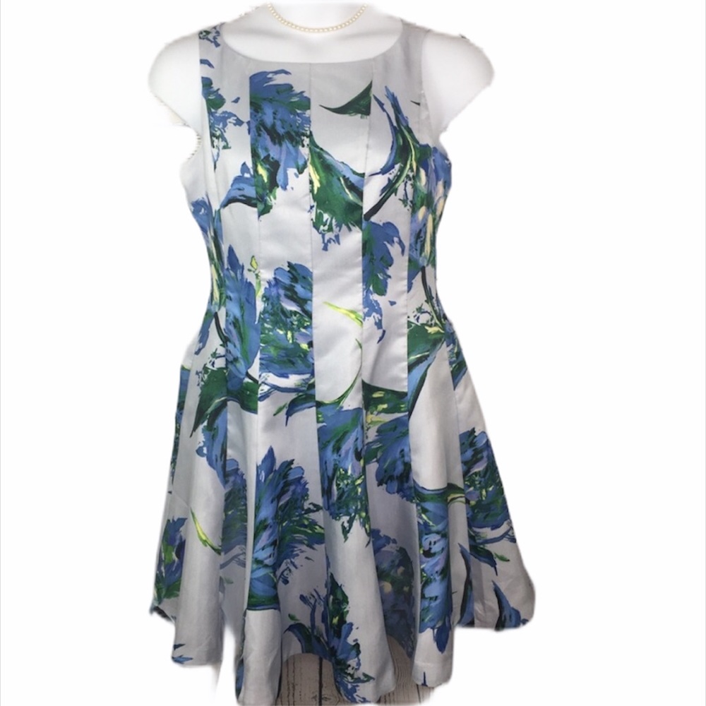 🆕Danny & Nicole fit n flare dress